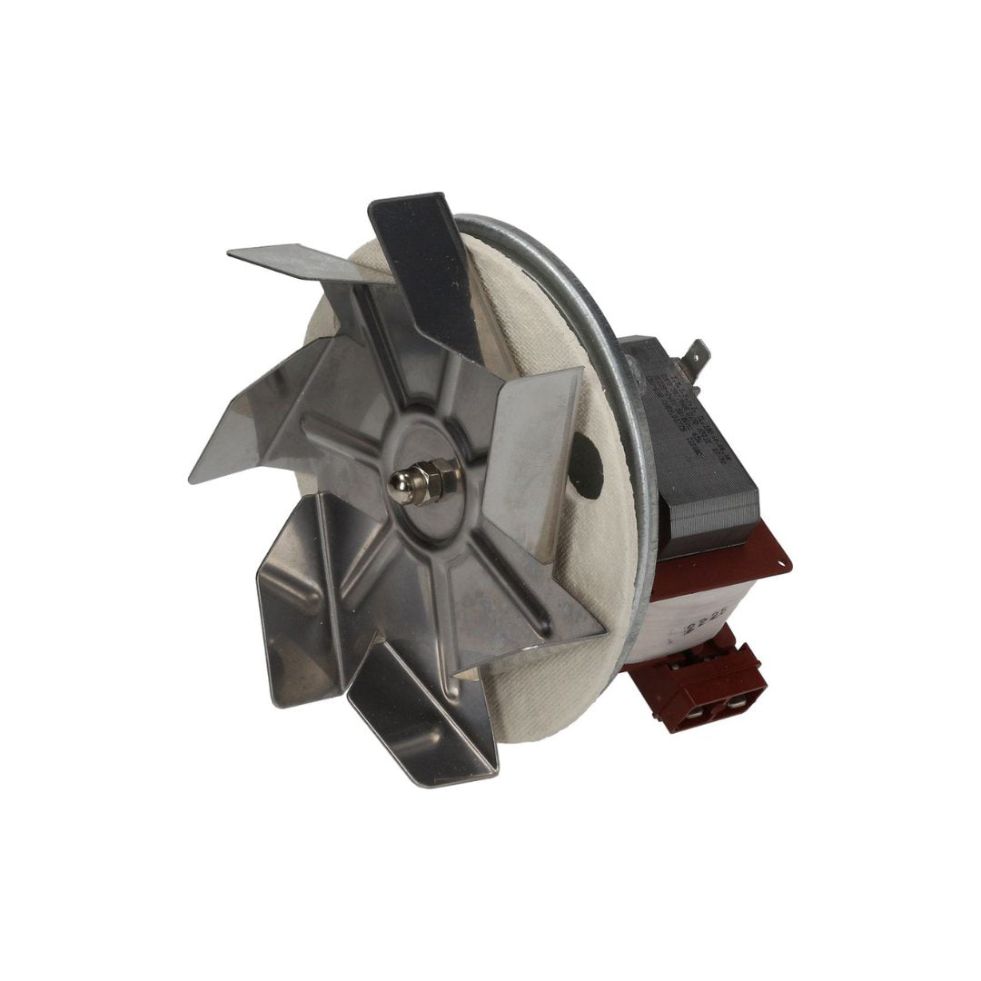 MOTOR WITH FAN